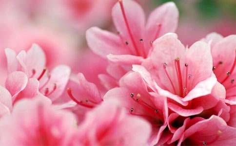 �����á����N������4ƪ