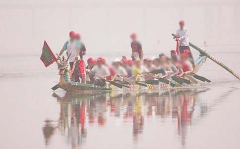 (合集)端午情作文