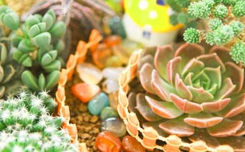 �t��ʯ������B(y��ng)ֳ����