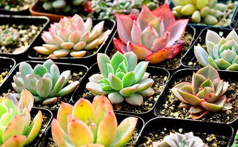 �����^������