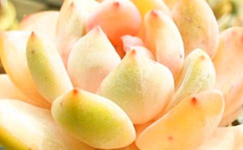 �ҼҵĶ�������[���x9ƪ]