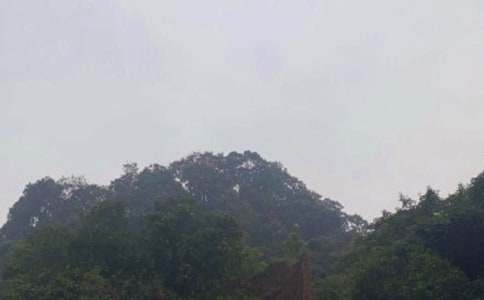 ��üɽ������