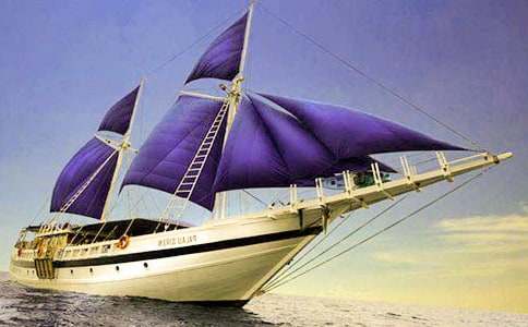 ����С��������(2ƪ)