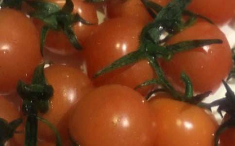 聽《番茄太陽》有感