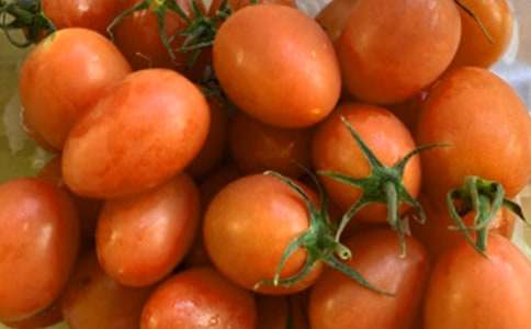 ���ѳ����������