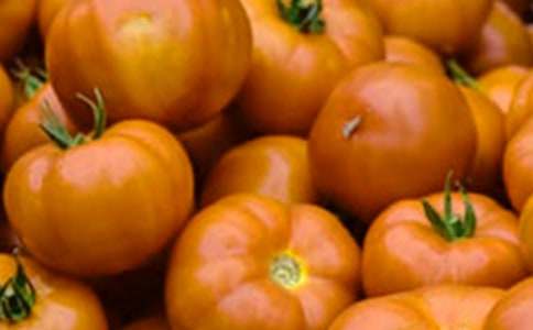 西葫蘆燴番茄的做法