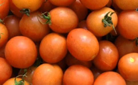 ���ѳ�������[ͨ��]