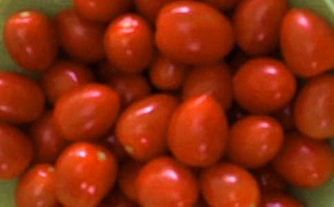 番茄炒蛋作文15篇