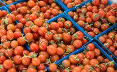 ����̫ꖽ̌W��ӛ