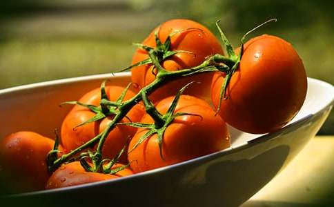 ����̫ꖵ��u�n��