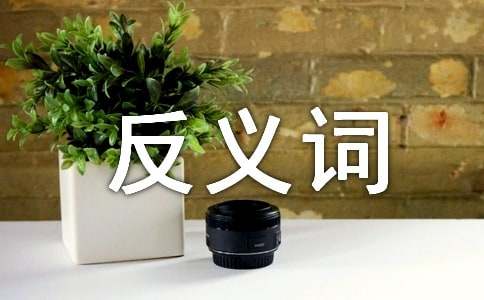 ���o�ķ��x�~