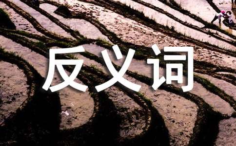 ���ǵķ��x�~