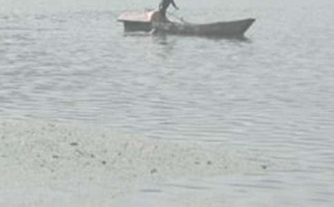 ���۹�Ԋ��x���p��