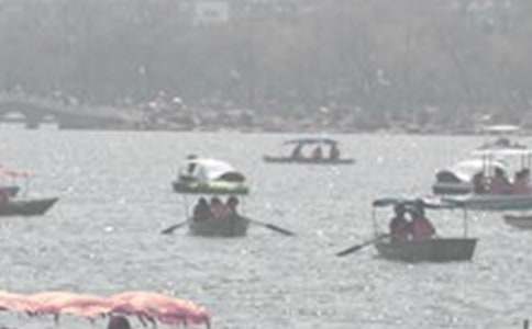 �ƺ���������