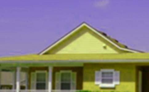 (經(jīng)典)設(shè)計(jì)房子的作文