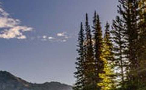 實(shí)用的描寫風(fēng)景作文五篇