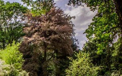 ���]���L(f��ng)���@߅��(d��)������44ƪ