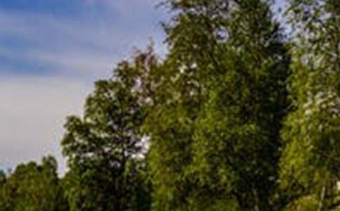 ���˵��L(f��ng)������