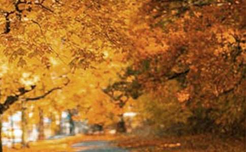 �ҵ��L(f��ng)������