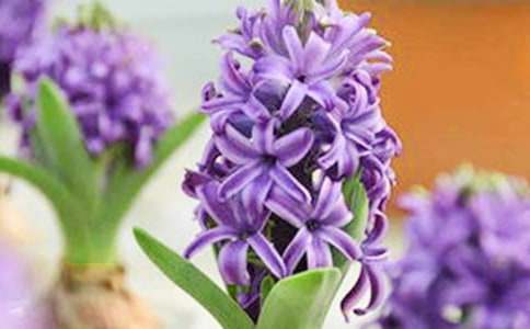 �W(xu��)�����ģ��`�����ҵ��L(f��ng)����