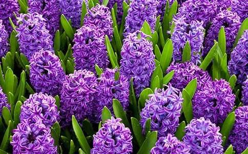 �����x���L��������15ƪ