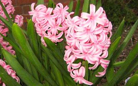 �L�������ľ�Ʒ[15ƪ]