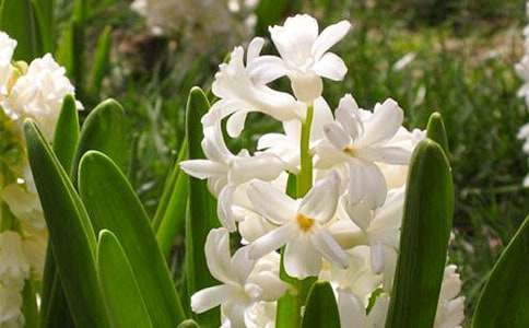 �P(gu��n)���L(f��ng)���ӵ�����