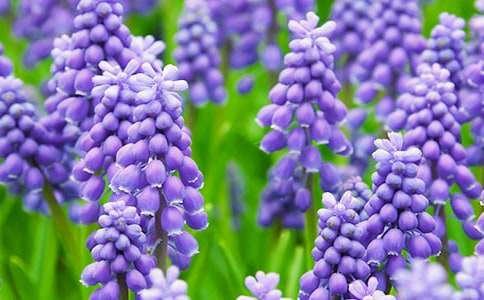 �L(f��ng)���ӵ��B(y��ng)ֳ�����ְ��ֽ̌W(xu��)