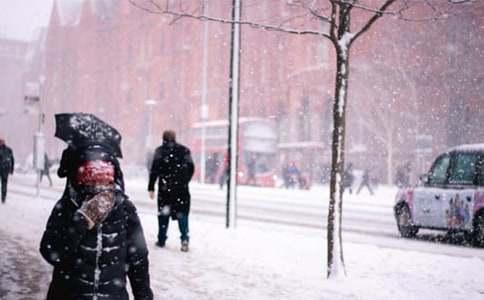 �Lѩ÷����