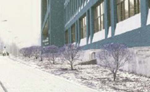 �Lѩ������4ƪ