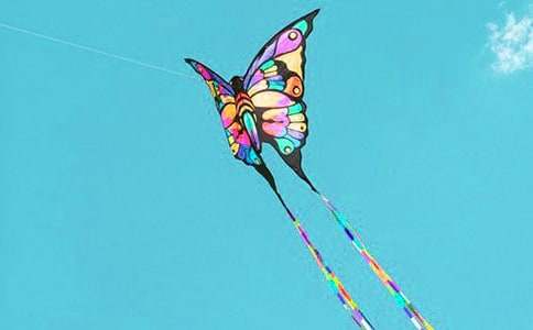 風箏的制作作文經(jīng)典8篇