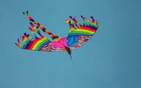 精選風(fēng)箏制作的作文四篇