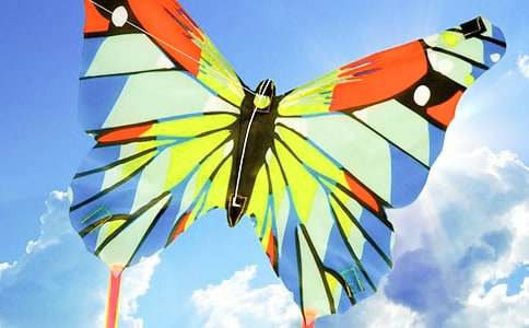 制作風(fēng)箏作文六篇