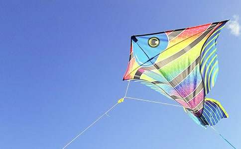 �L�~����������