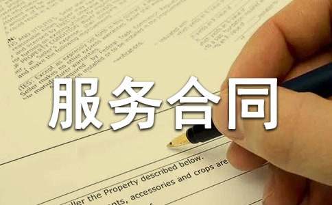 技術(shù)服務(wù)合同(優(yōu))