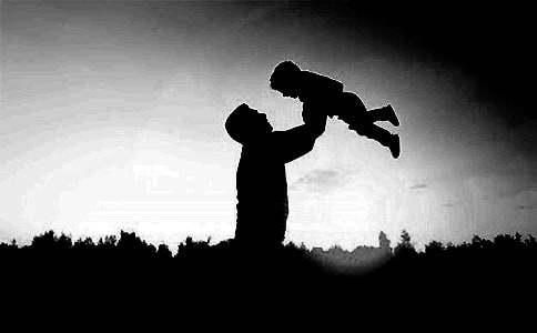 讀《父愛沒有力學(xué)》有感