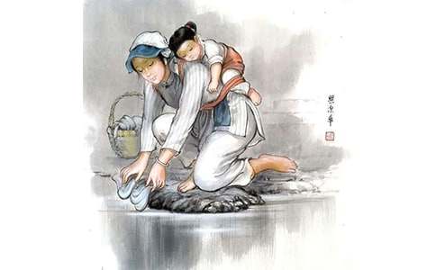 感恩父母心演講稿