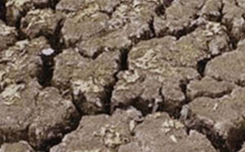 6��17��������λ�Į���պ͸ɺ���