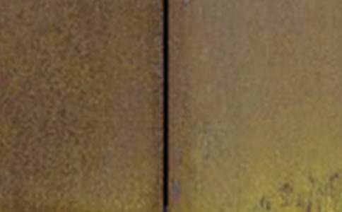 鋼鐵意志電影觀后感(精)