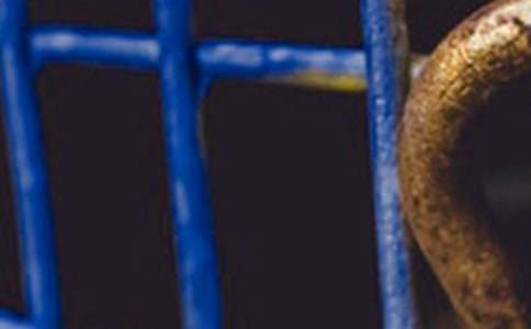 ��F�S�������