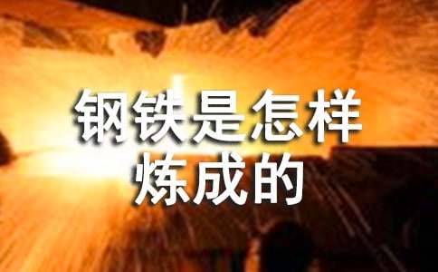 讀《鋼鐵是怎樣煉成的》有感