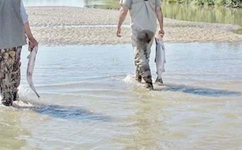 戴小橋和他的哥們兒讀后感