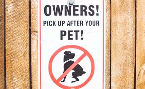 ��(f��)�ƹ��淶�ĺϼ�6ƪ