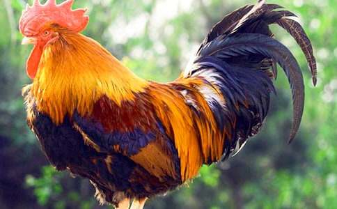 �Ҽҵ�С���u����