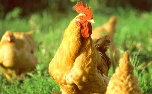 ��С���u��С���ӡ��̌W�OӋ�Y��