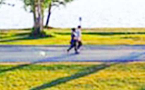 雕塑公園作文(15篇)