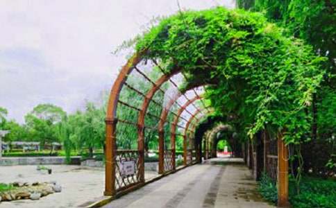 公園雕塑作文300字錦集七篇