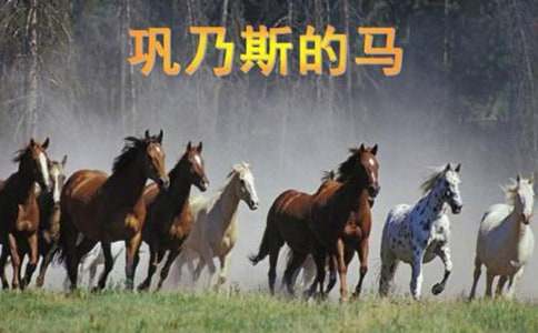 �����˹���R���n�Ì��