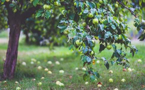 �����@�C���ˡ��̲����Ⅲ��