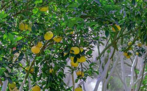 �S�յĹ��@����